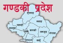 गण्डकी प्रदेशमा एमाले वन्यो पहिलो दल, नेकपा एस सातौ स्थानमा