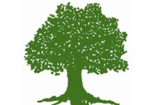 गण्डकी प्रदेशमा काँग्रेसले जित्यो ५० प्रतिशत सिट, खुम्चियो एमाले