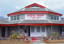 गण्डकीमा कुन दल वाट को, को वने सांसद, काँग्रेस सभापति शर्मा सांसद वन्नवाट वंचित