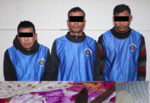 सुनका गरगहना चोरी गरी भागेका ३ जना १० दिन पछि पक्राउ