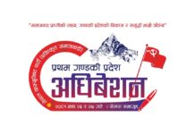 नेकपा एसको गण्डकी प्रदेश अधिवेसनका लागि कास्कीवाट चुनिए ५१ जना प्रतिनिधि