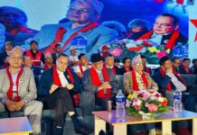 एकिकरण पछि हौसिए नेताहरु, नेपाली कम्युनिष्ट पार्टिलाई नेपालको पहिलो पार्टि बनाउने दावी